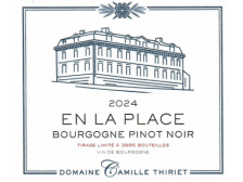 Domaine Camille THIRIET En la Place 2023 bottle 75cl