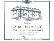 Domaine Camille THIRIET La Montagne 2023 bottle 75cl