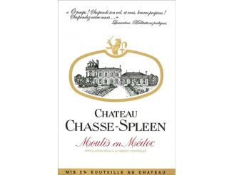 Château CHASSE-SPLEEN rouge 2019 la bouteille 75cl