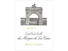 Château LÉOVILLE-LAS CASES 2ème Grand cru classé 2020 le magnum 150cl