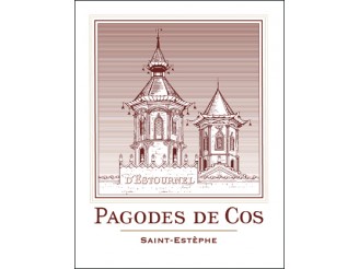 LES PAGODES DE COS Second wine from Château Cos d'Estournel 2009 bottle 75cl