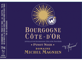 Domaine Michel MAGNIEN Bourgogne Côte d'Or Pinot Noir red 2020 bottle 75cl